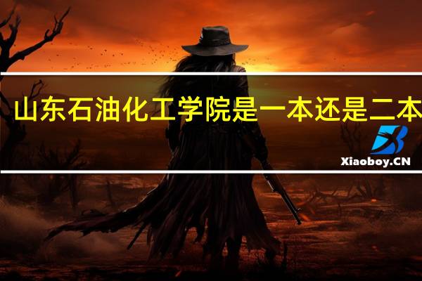 山东石油化工学院是一本还是二本院校