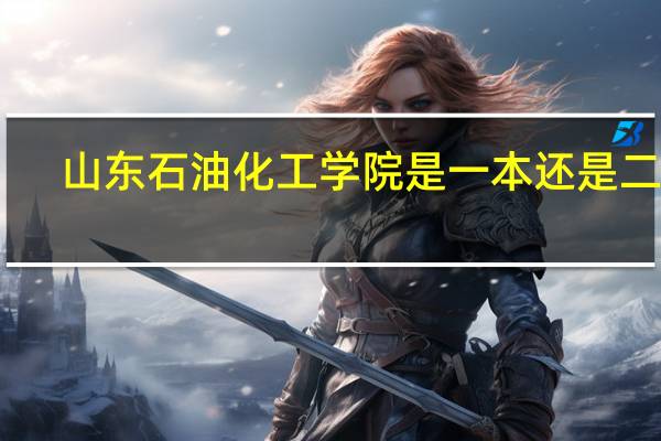山东石油化工学院是一本还是二本
