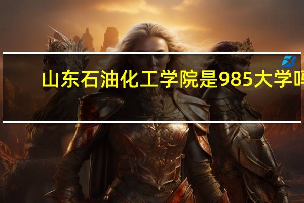 山东石油化工学院是985大学吗