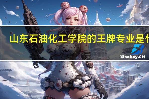 山东石油化工学院的王牌专业是什么
