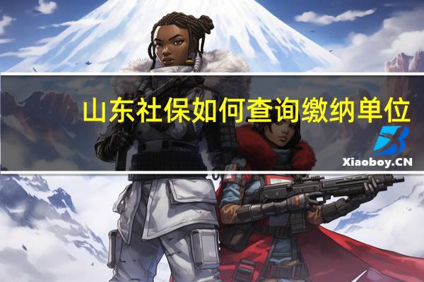 山东社保如何查询缴纳单位