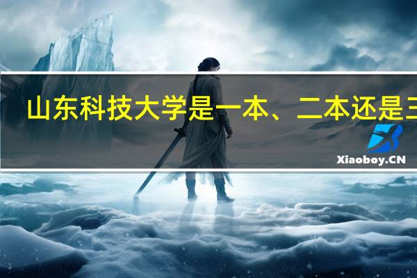 山东科技大学是一本、二本还是三本