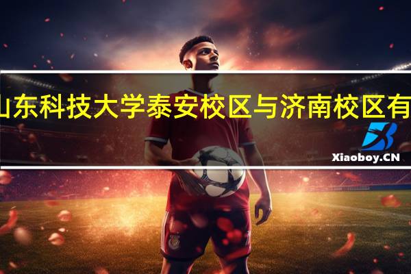 山东科技大学泰安校区与济南校区有何区别