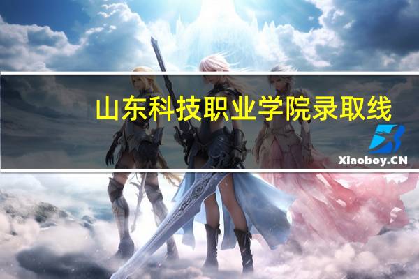 山东科技职业学院录取线