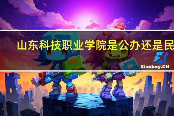 山东科技职业学院是公办还是民办