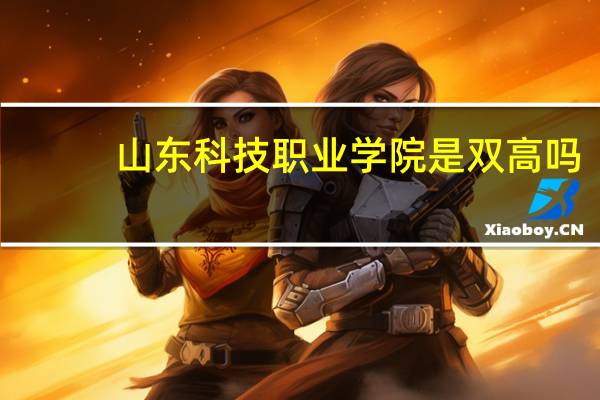 山东科技职业学院是双高吗