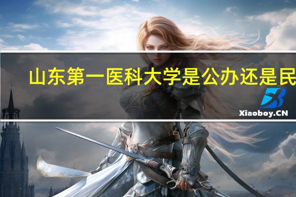 山东第一医科大学是公办还是民办