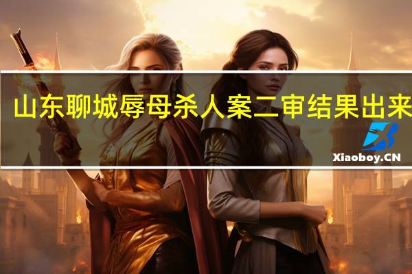 山东聊城辱母杀人案二审结果出来了吗
