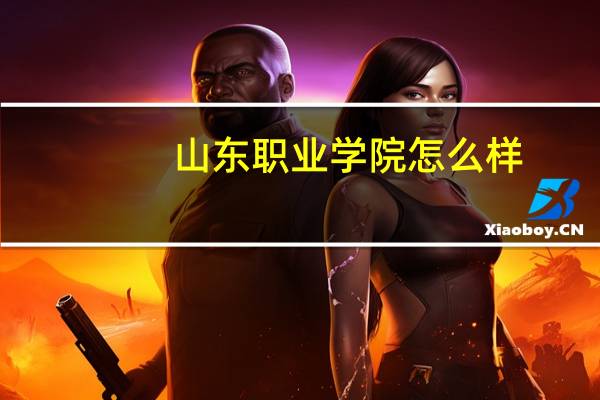 山东职业学院怎么样