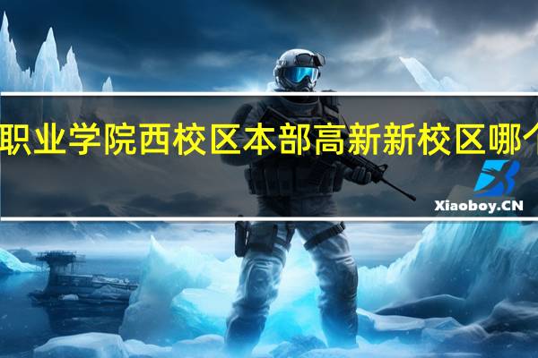 山东职业学院西校区 本部 高新新校区 哪个校区好啊