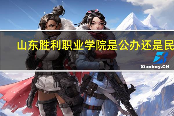 山东胜利职业学院是公办还是民办