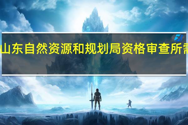 山东自然资源和规划局资格审查所需材料