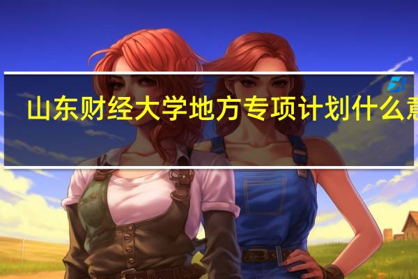 山东财经大学地方专项计划什么意思