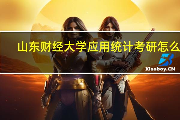 山东财经大学应用统计考研怎么样