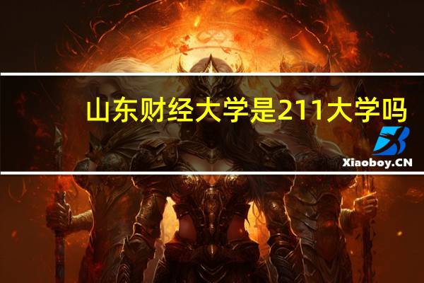 山东财经大学是211大学吗