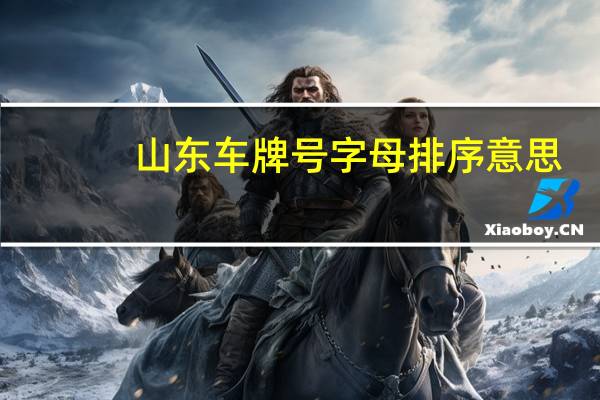 山东车牌号字母排序意思（山东车牌号字母排序）