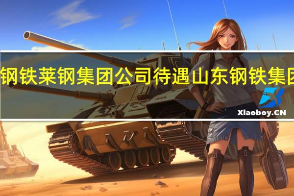 山东钢铁莱钢集团公司待遇 山东钢铁集团有限公司