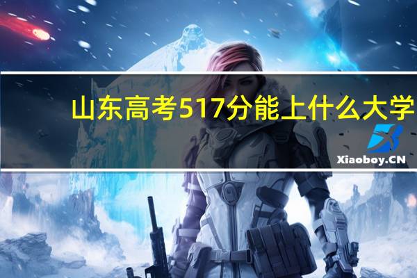 山东高考517分能上什么大学
