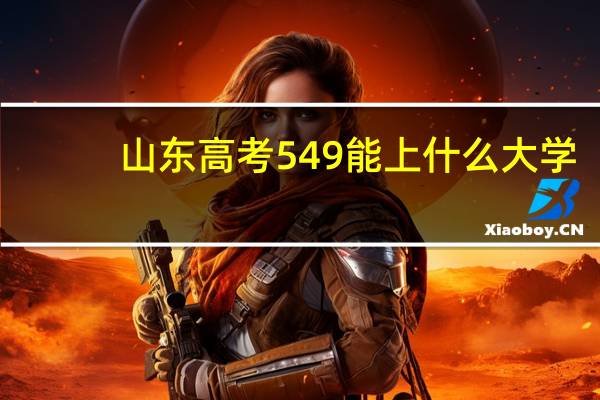 山东高考549能上什么大学