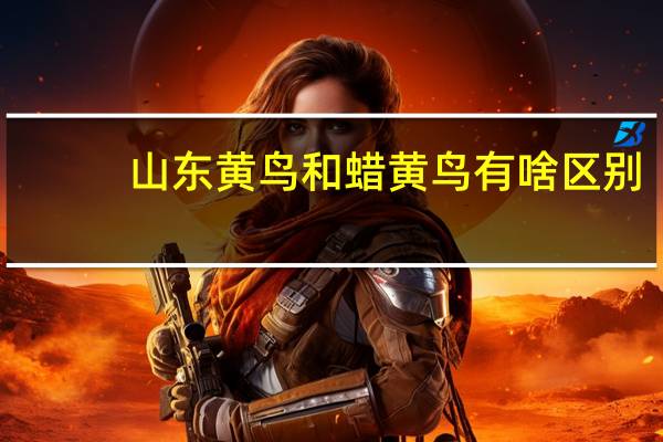 山东黄鸟和蜡黄鸟有啥区别