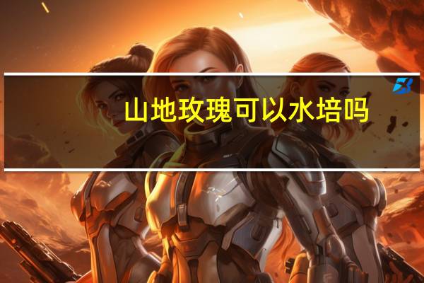 山地玫瑰可以水培吗