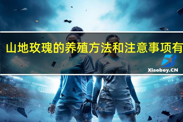 山地玫瑰的养殖方法和注意事项有哪些