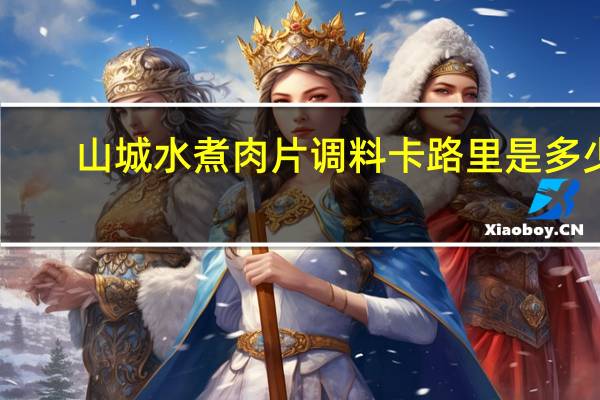 山城 水煮肉片调料卡路里是多少