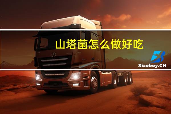 山塔菌怎么做好吃