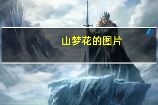 山梦花的图片（山梦是什么花）