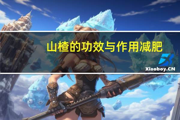 山楂的功效与作用减肥