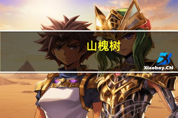 山槐树（山槐）