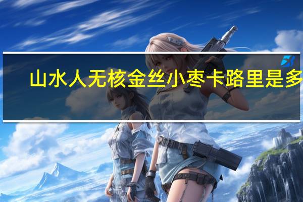 山水人 无核金丝小枣卡路里是多少