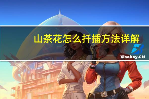 山茶花怎么扦插方法详解(五个步骤)