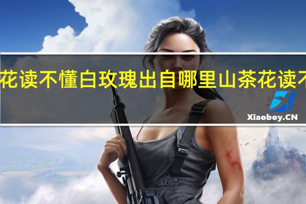 山茶花读不懂白玫瑰出自哪里 山茶花读不懂白玫瑰