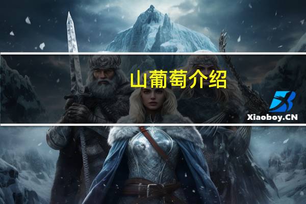 山葡萄介绍