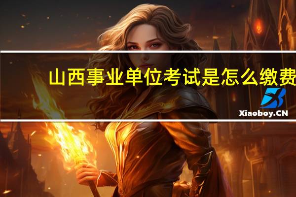 山西事业单位考试是怎么缴费