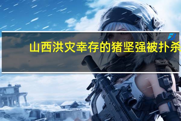 山西洪灾幸存的猪坚强被扑杀，事情的始末究竟是怎样的