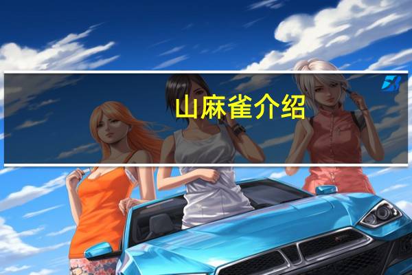 山麻雀介绍
