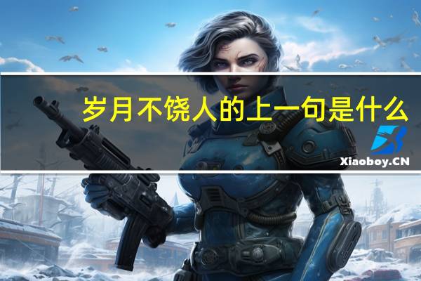 岁月不饶人的上一句是什么