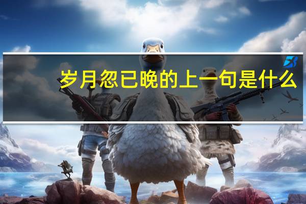 岁月忽已晚的上一句是什么