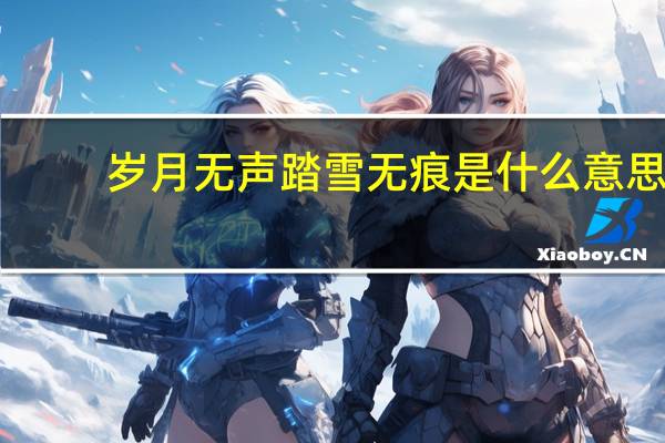 岁月无声踏雪无痕是什么意思（踏雪无痕是什么意思）