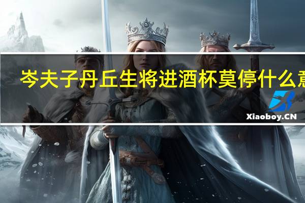 岑夫子丹丘生将进酒杯莫停什么意思