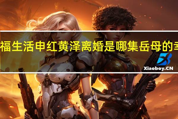 岳母的幸福生活申红黄泽离婚是哪集 岳母的幸福生活大结局