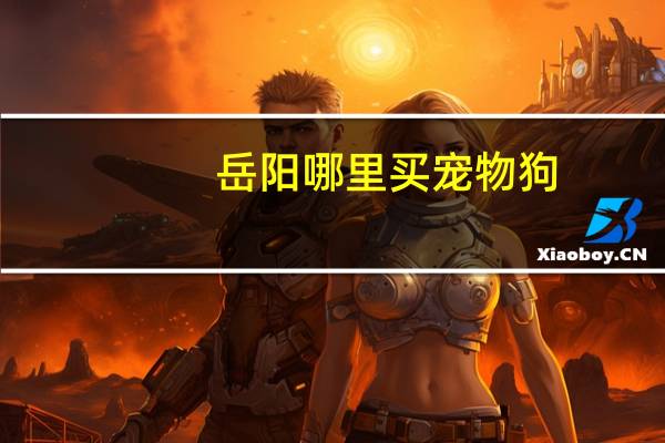 岳阳哪里买宠物狗