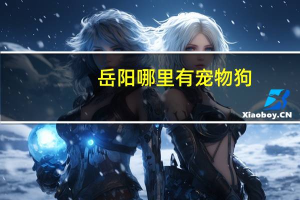 岳阳哪里有宠物狗