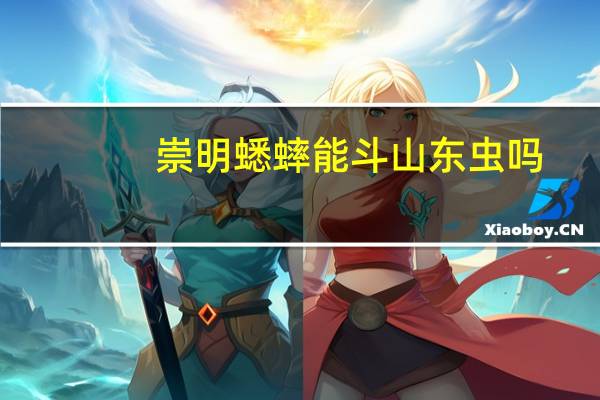 崇明蟋蟀能斗山东虫吗