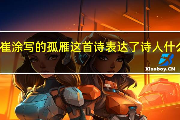 崔涂写的孤雁这首诗表达了诗人什么感情