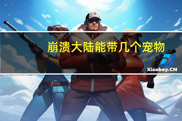 崩溃大陆能带几个宠物