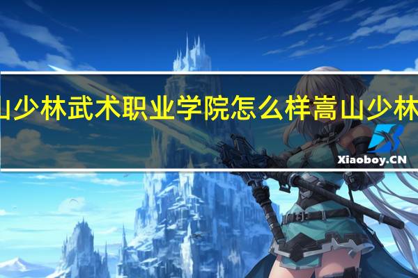 嵩山少林武术职业学院怎么样 嵩山少林武术学院