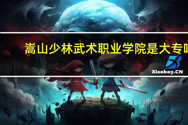 嵩山少林武术职业学院是大专吗